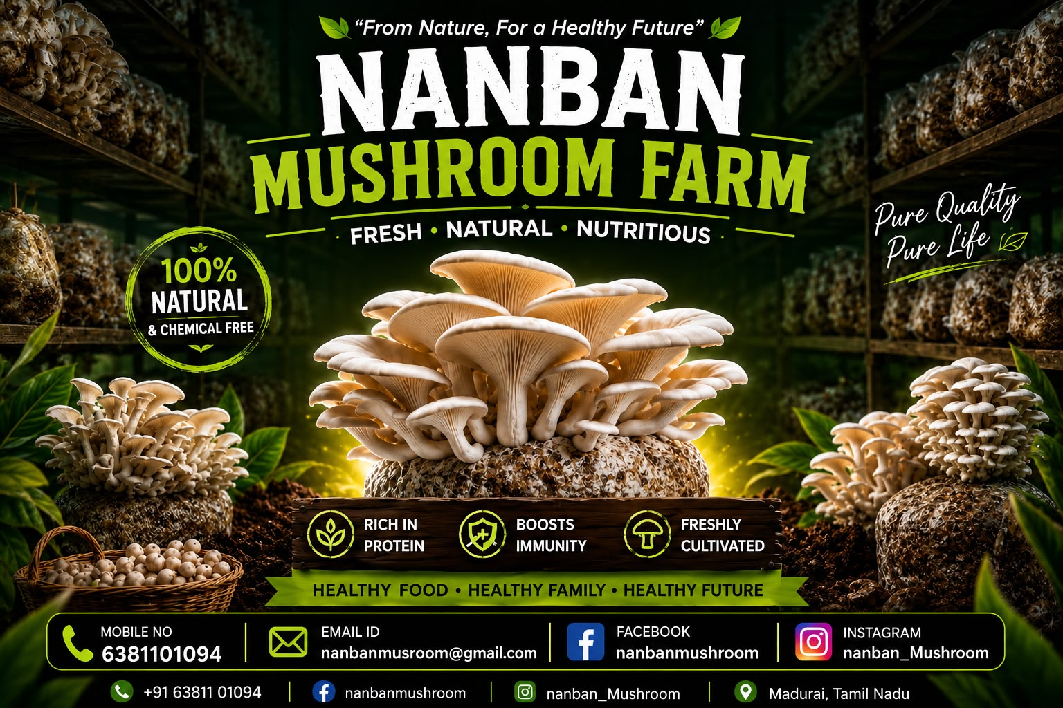 Nanban Mushroom Farm hi-tech growing setup